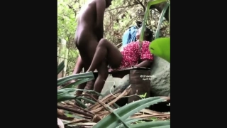 Desi Couple Sex In Jungle