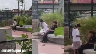 Iloilo Esplanade Viral Video: Philippines Students Caught Having Sex in Public