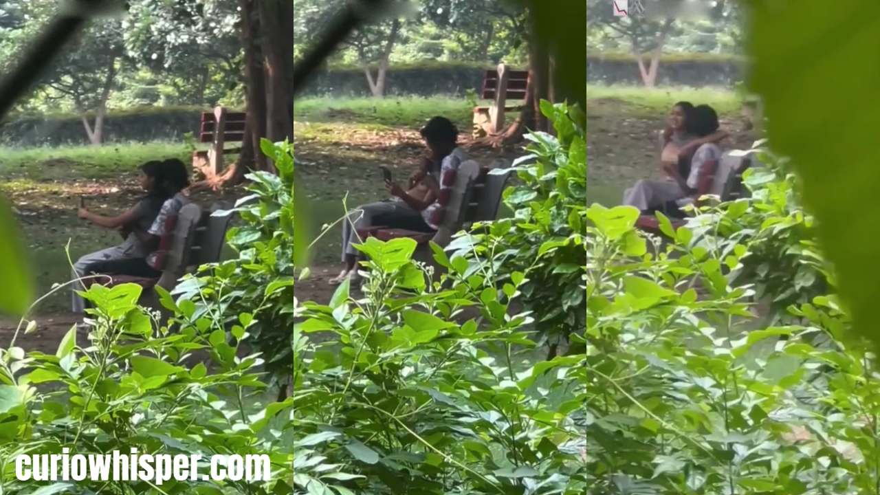 College Couple Sex in Park Viral Video